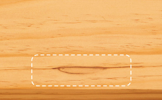 「埋木」について