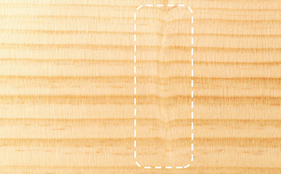 節かげ（交走木埋）